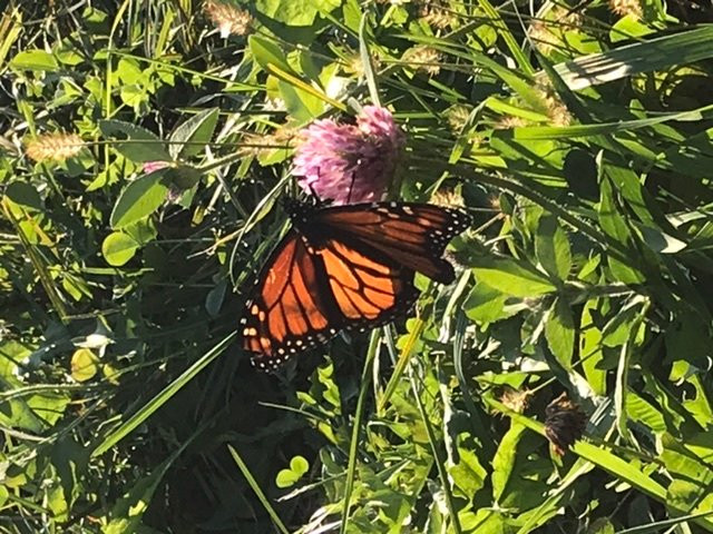 Orchard Home Farm-St. George必去景点