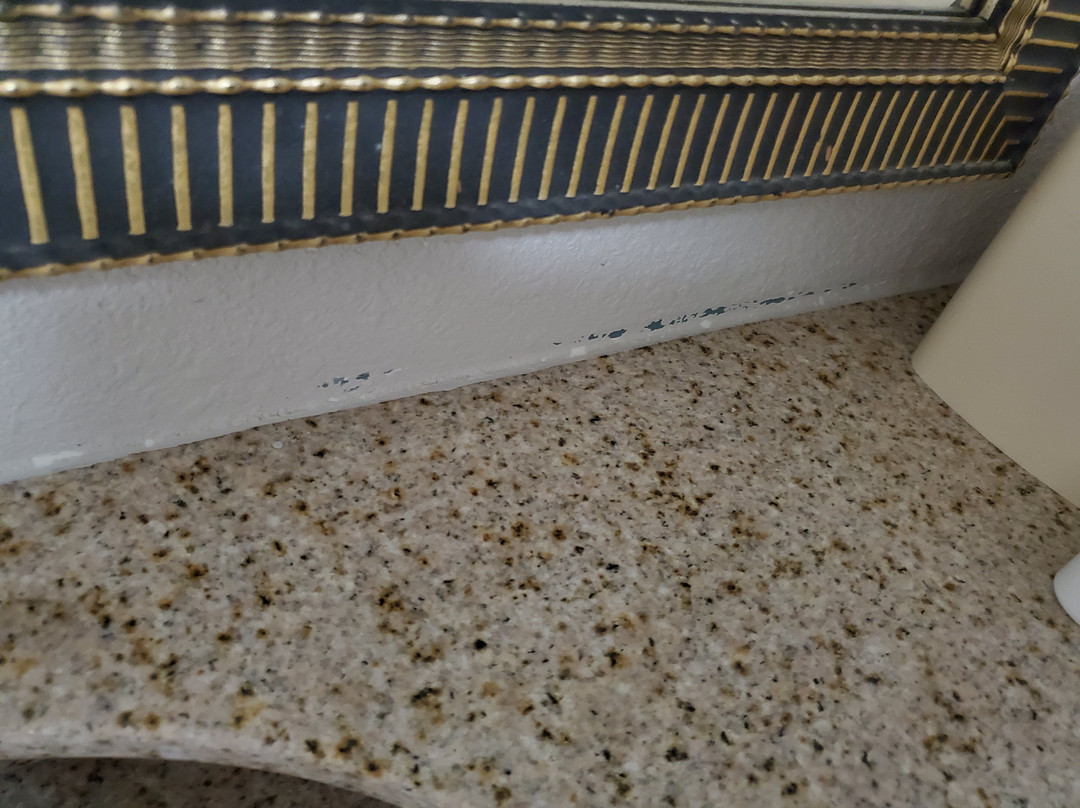 Clarion Hotel & Conference Center Leesburg主图