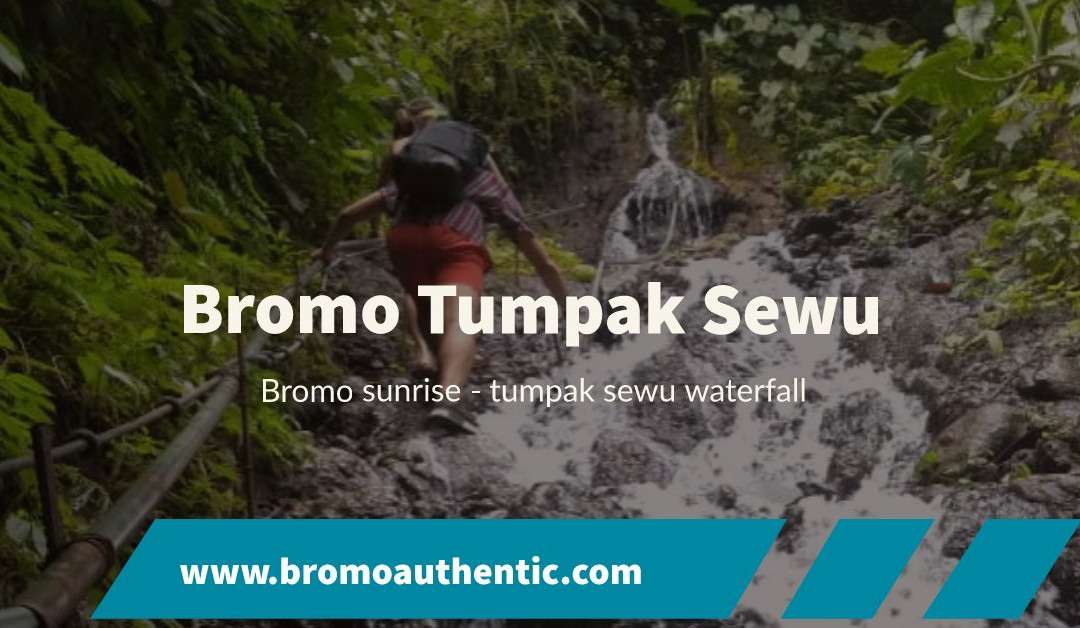 Bromo Authentic Tour景点图片