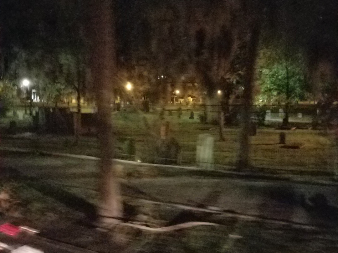 Savannah Carriage Tours-萨凡纳必去景点