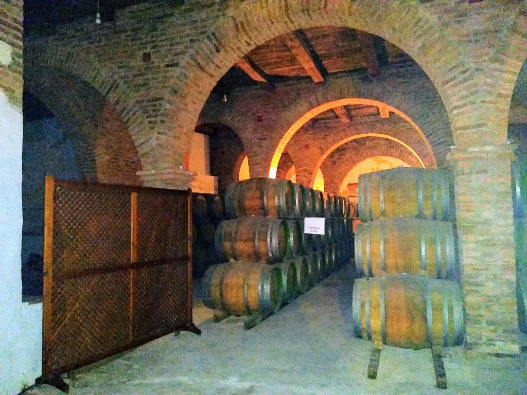 Bodegas Medina景点图片