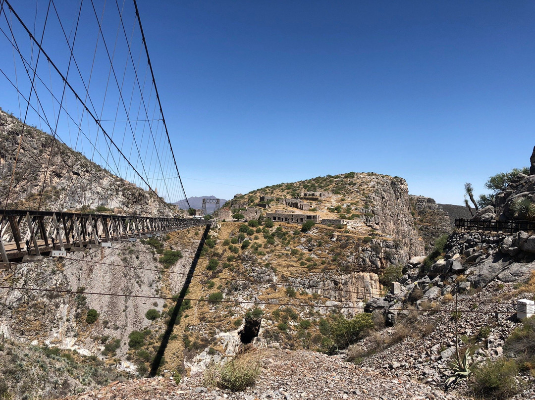 Mapimi Biosphere Reserve景点图片