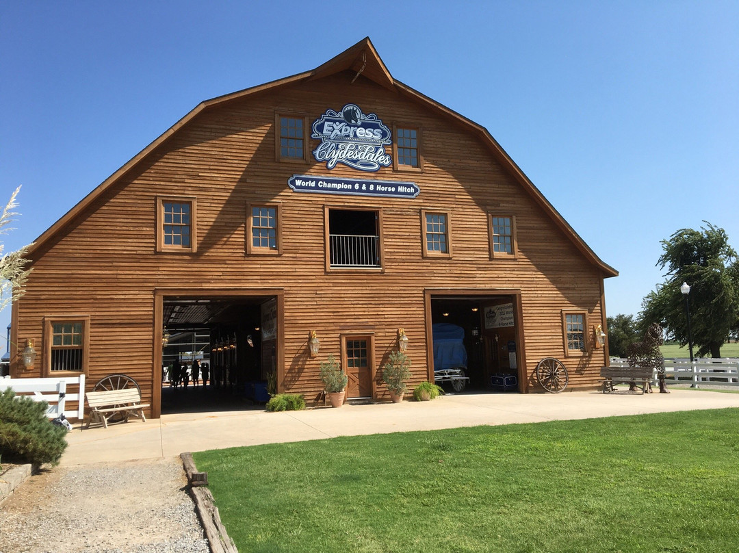 Kingfisher旅游景点-Express Clydesdales