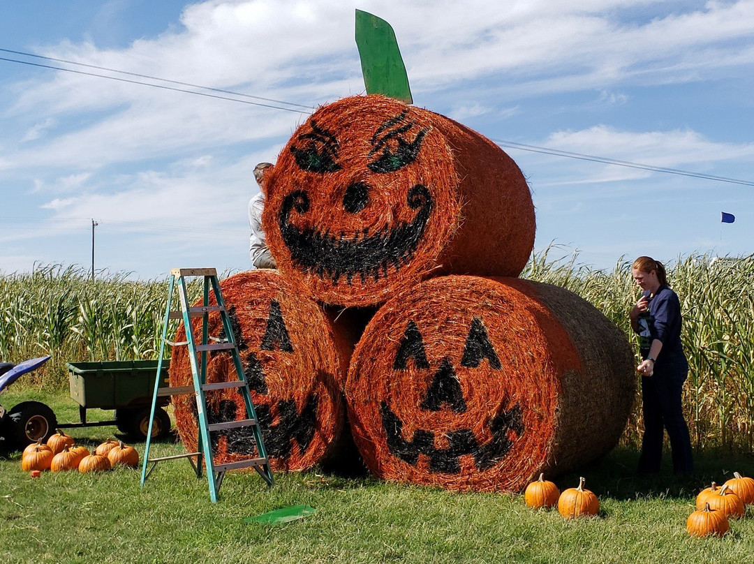 Daze in a Maze-Enid必去景点