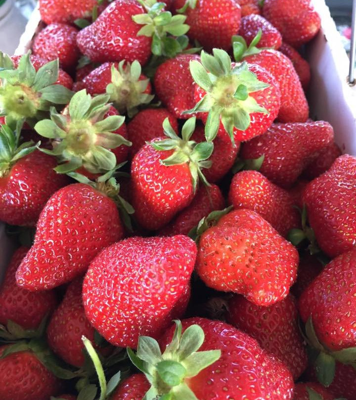 Morganton Farmers Market