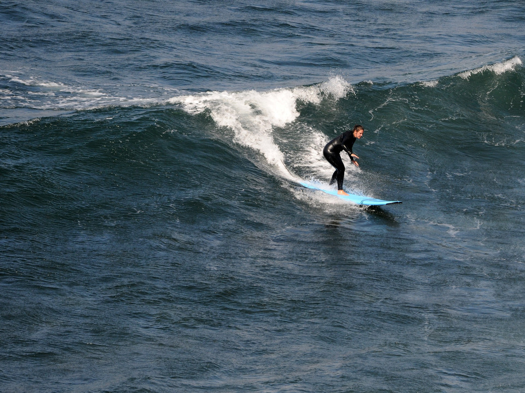 Green Wave Surf School-Punta del Hidalgo必去景点
