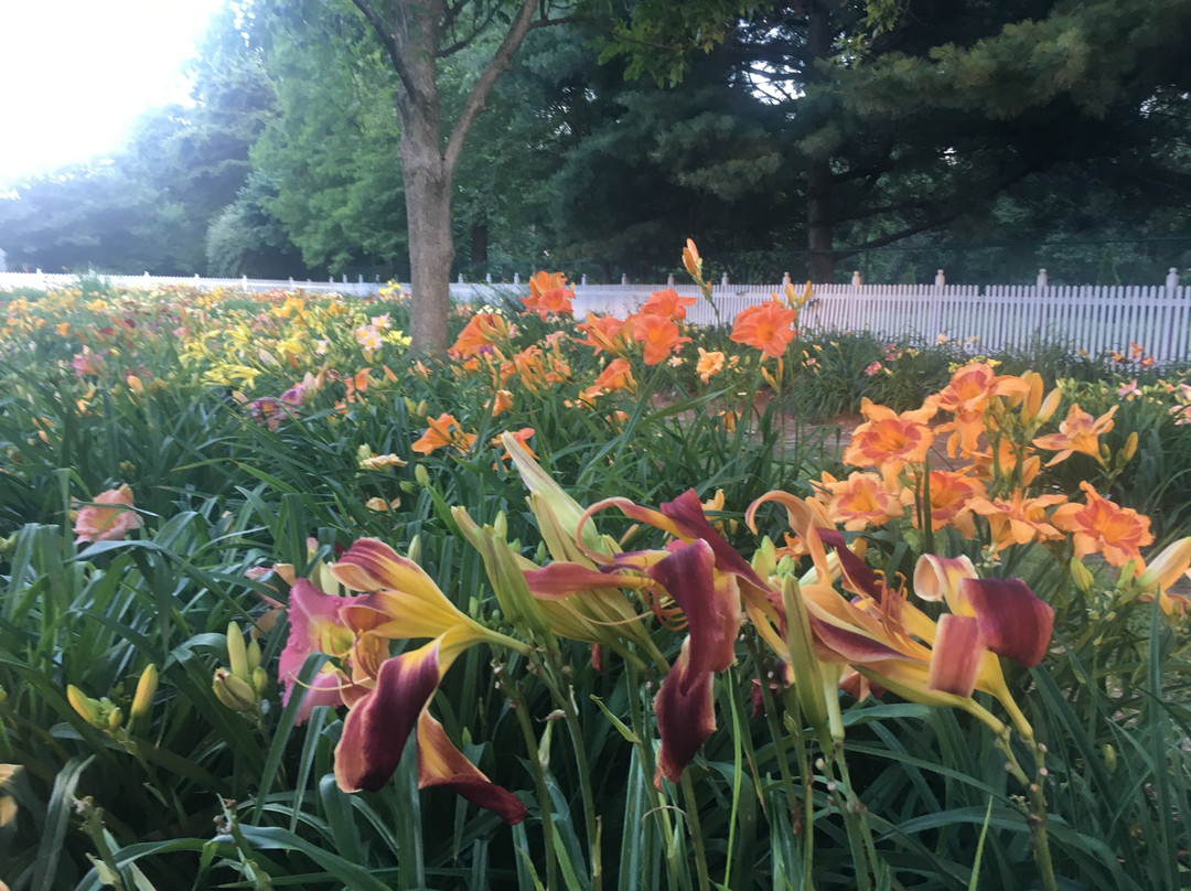 Western Kentucky Botanical Garden景点图片