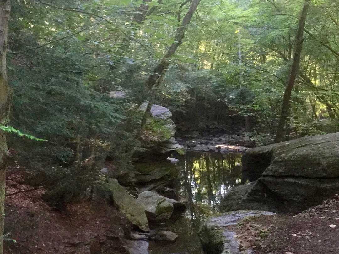 Indian Ledge Park景点图片