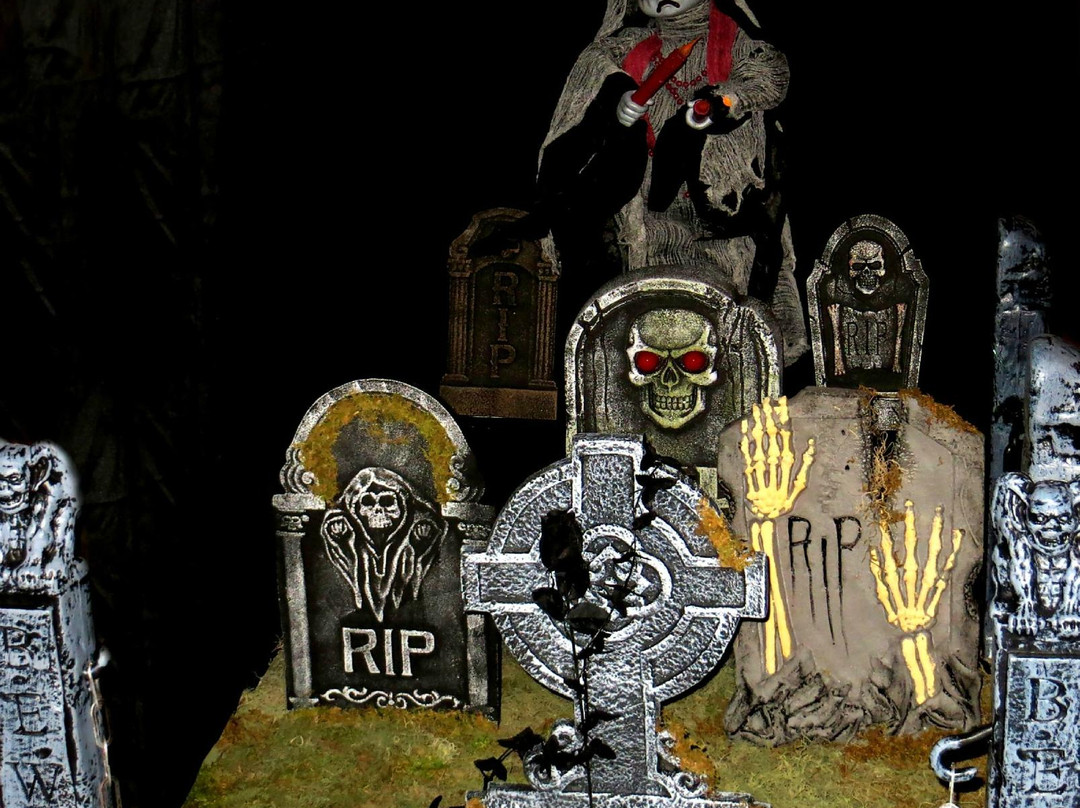 Morenci旅游景点-The Stadium Club