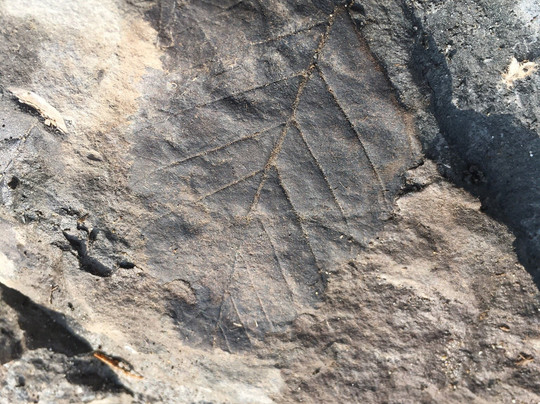 Fossil Beach-Kodiak必去景点