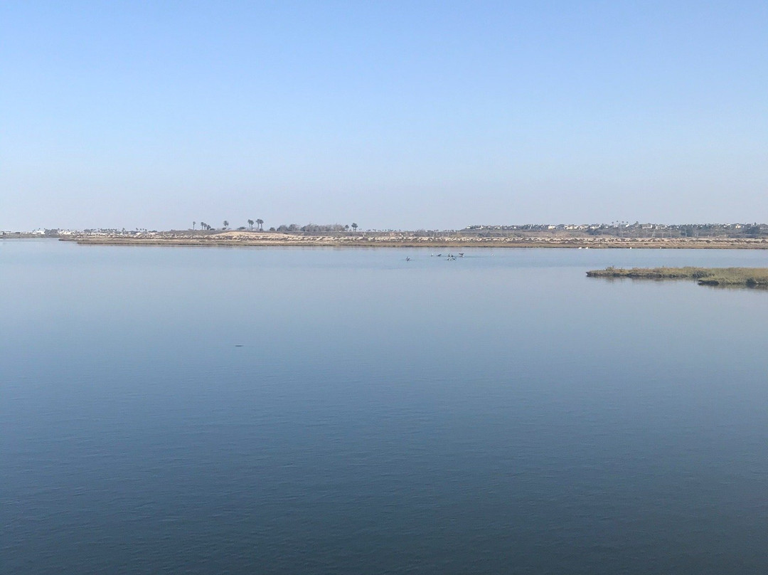 Bolsa Chica Ecological Reserve-亨廷顿海滩必去景点
