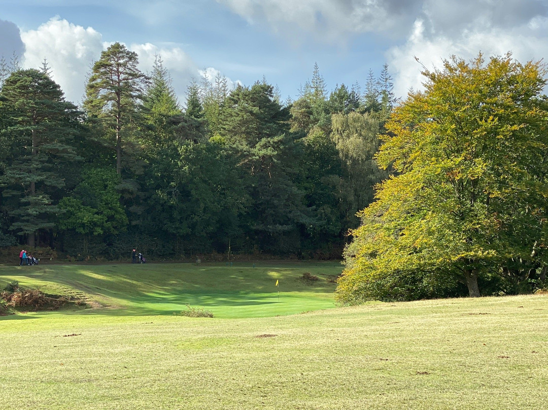 Bramshaw Golf Club景点图片
