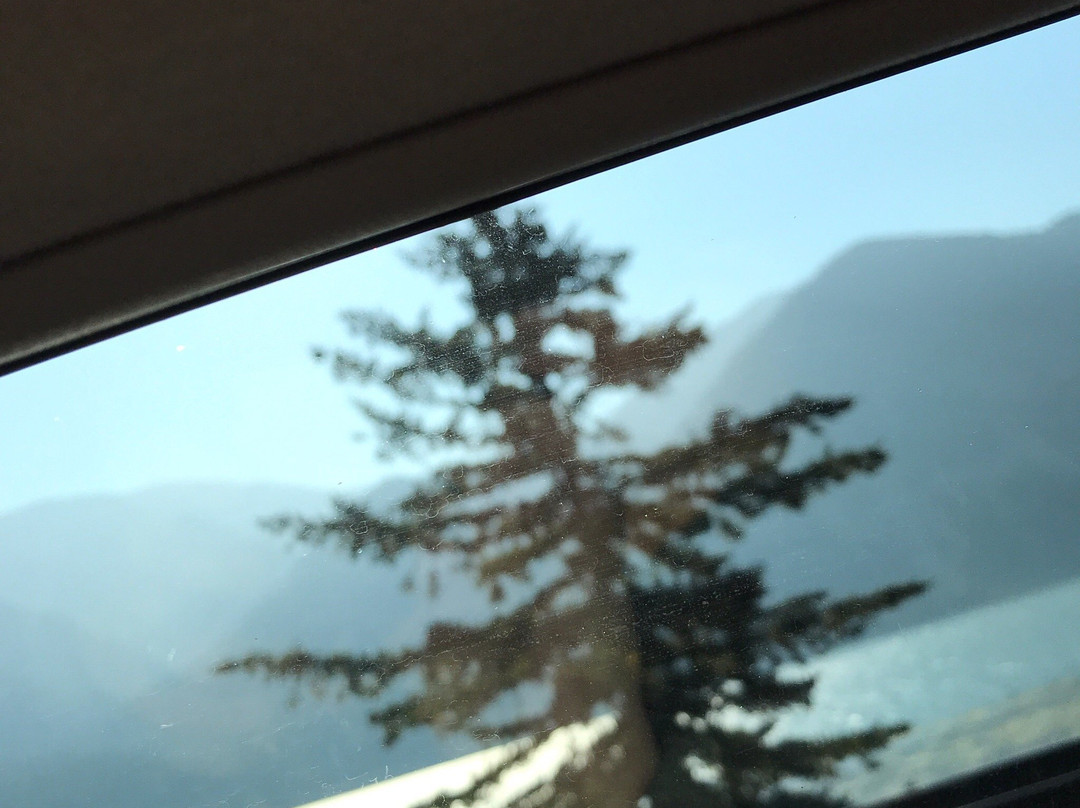 Backwoods Brewing Company