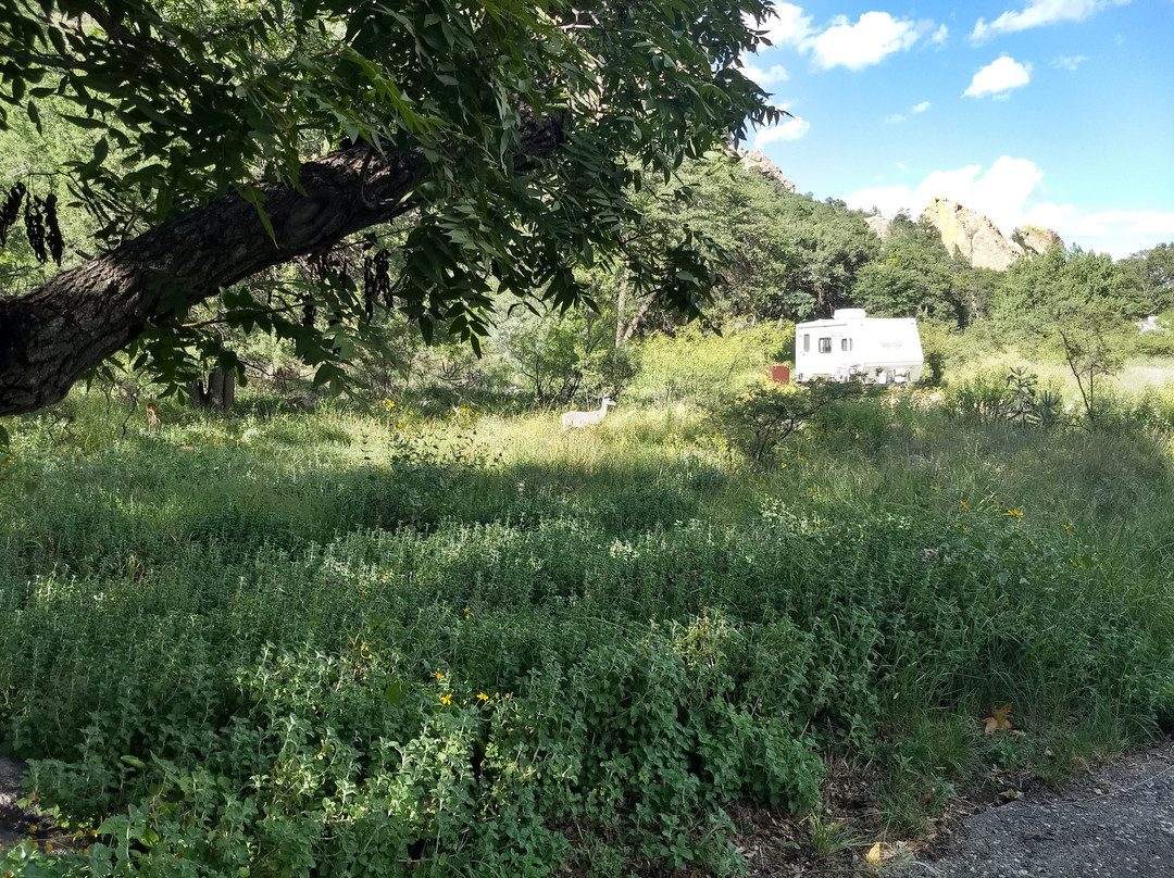 Cave Creek Canyon-Portal必去景点
