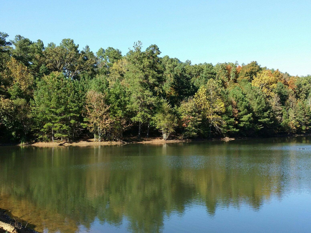 Bowie Nature Park景点图片