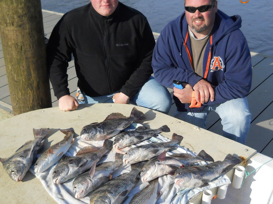 Werner Ocean Adventures LLC