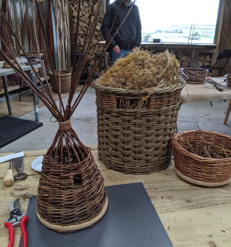 Mull Willow-Ardtun必去景点