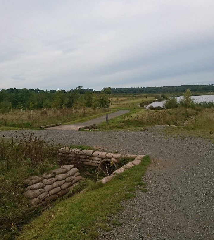 Queen Elizabeth Diamond Jubilee Wood-Normanton le Heath必去景点