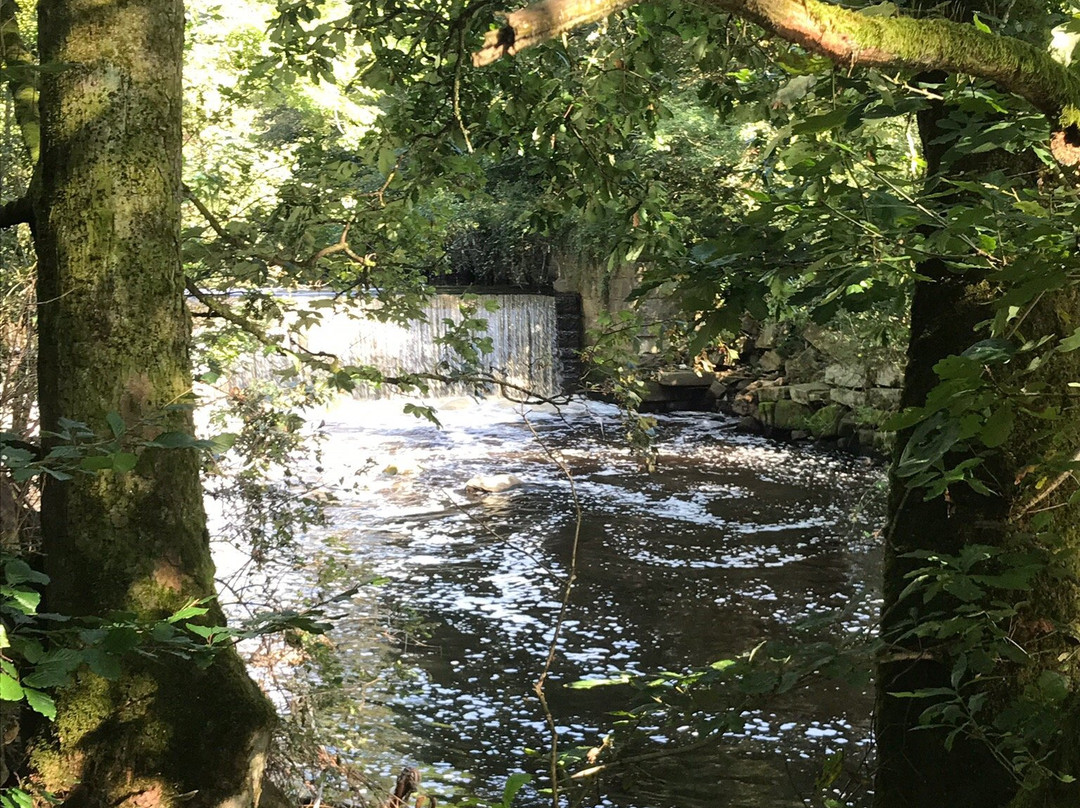 Haughton Dale Nature Reserve景点图片