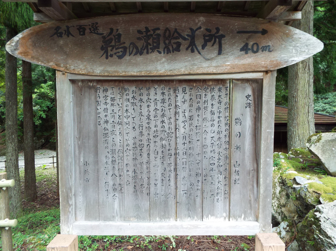 Unose Park景点图片