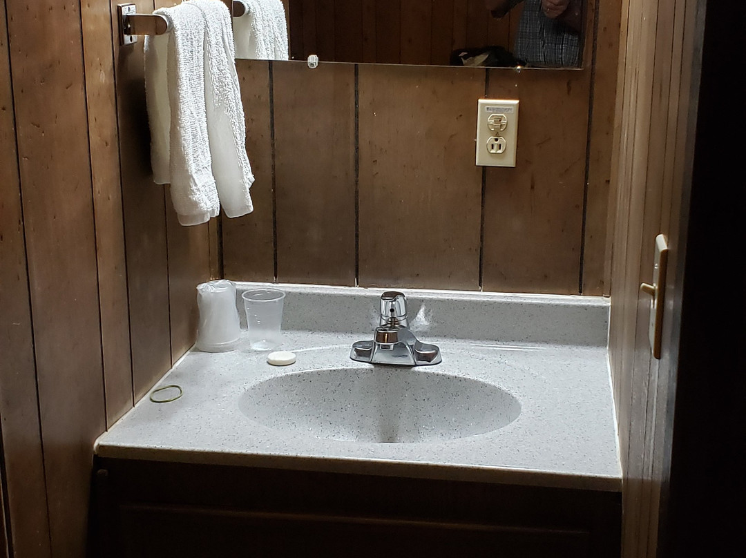 The Atomic Inn主图