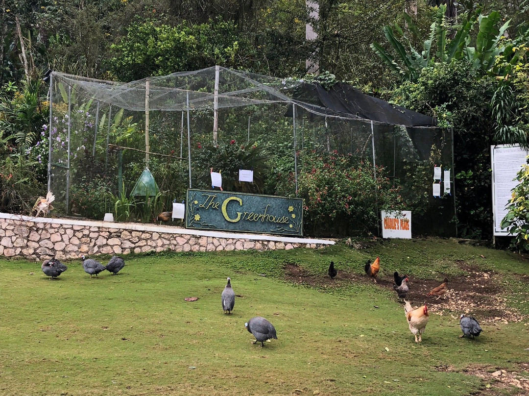 Animal Farm & Nature Reserve-蒙特戈贝必去景点