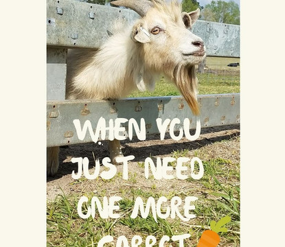 The Farmer's Barn-Chadbourn必去景点