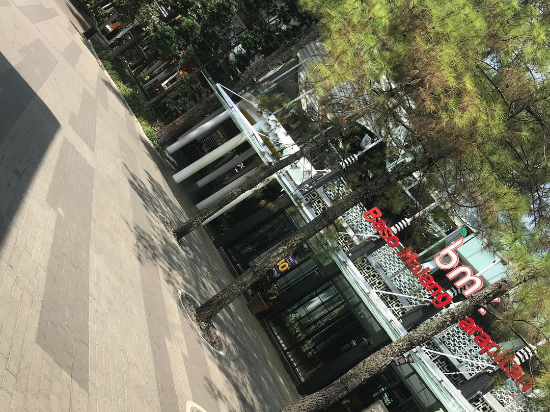 Cihampelas Walk Shopping Mall-万隆必去景点