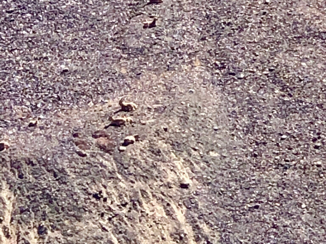 Kunjerab Pass-罕萨必去景点