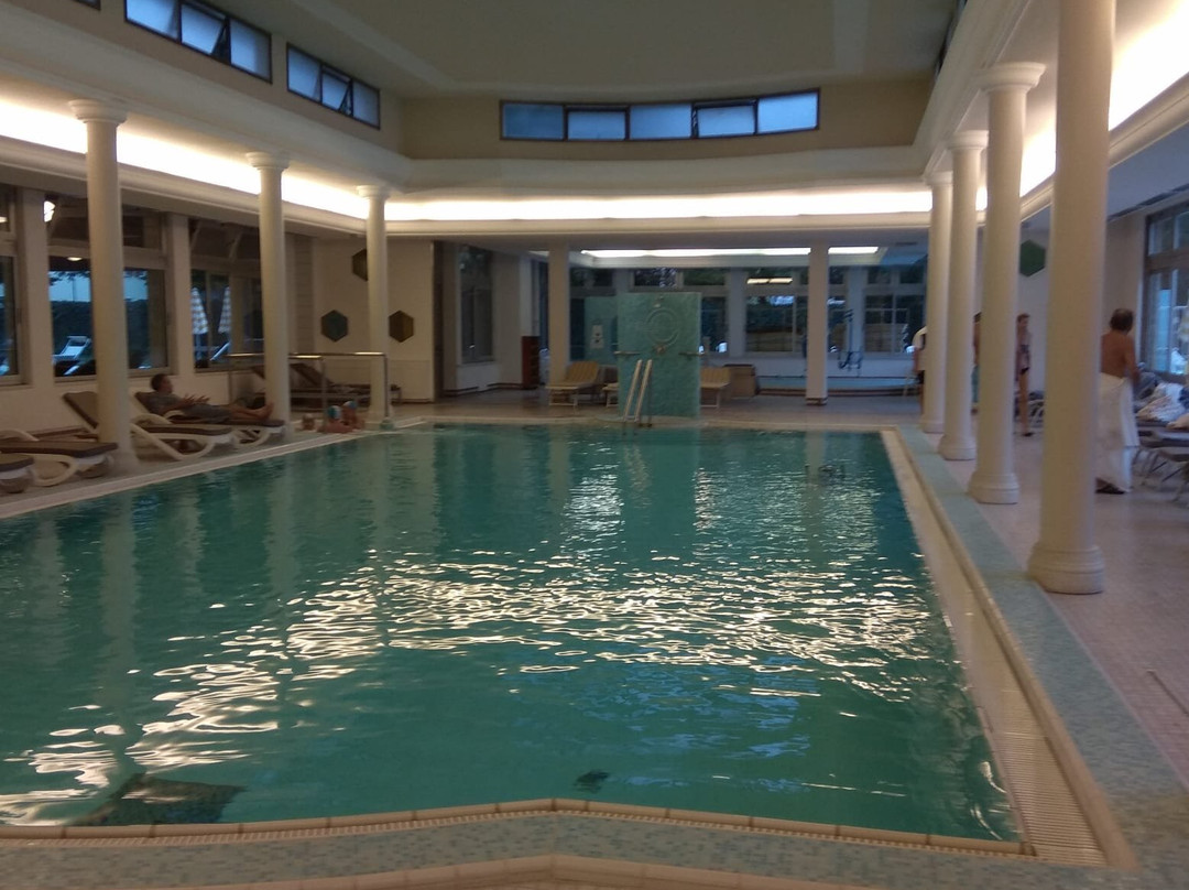 Continental Terme Hotel主图