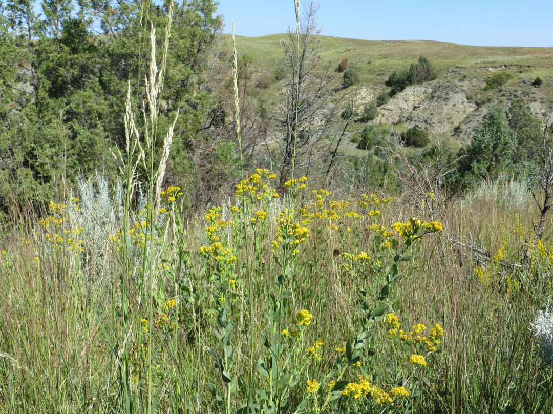 Boicourt Overlook Trail-Medora必去景点