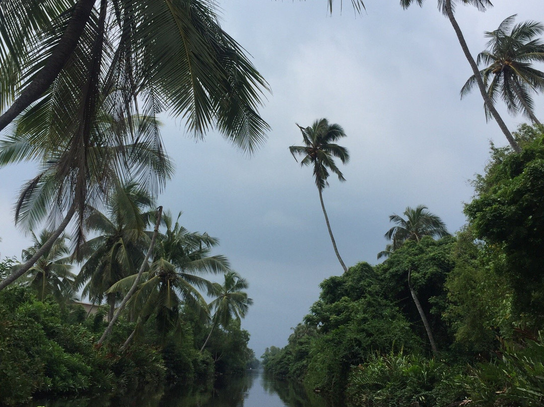 Muthurajawela Marsh-尼甘布必去景点