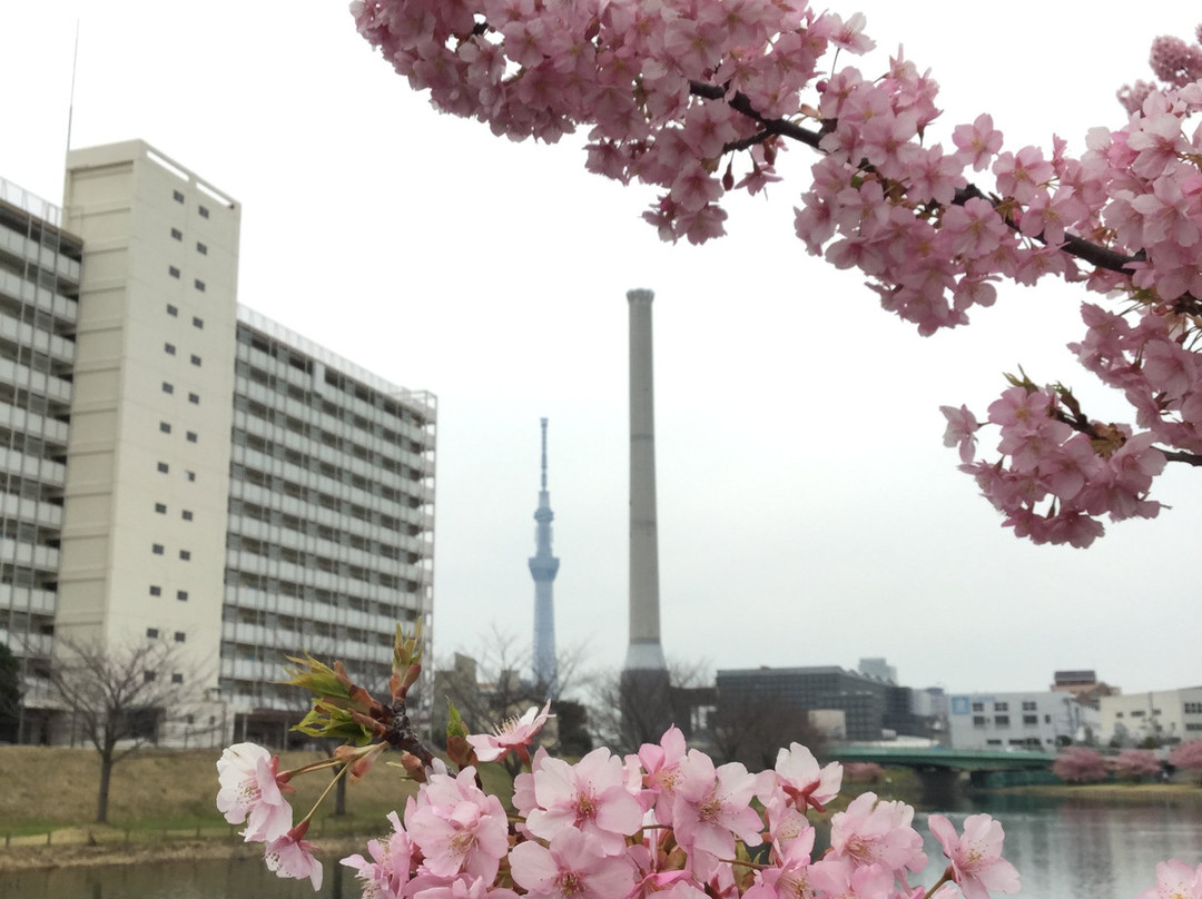 Kyunaka River-墨田区必去景点