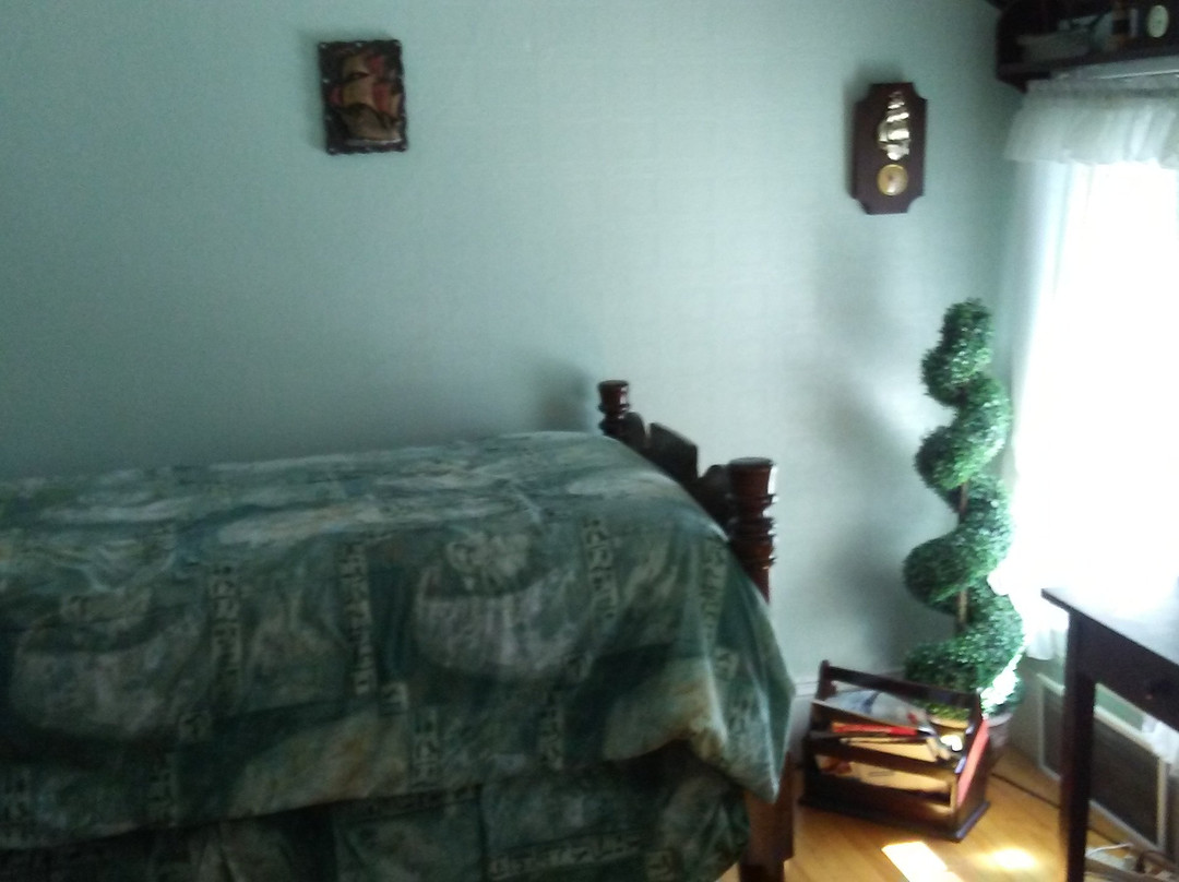 Marshlands Inn主图