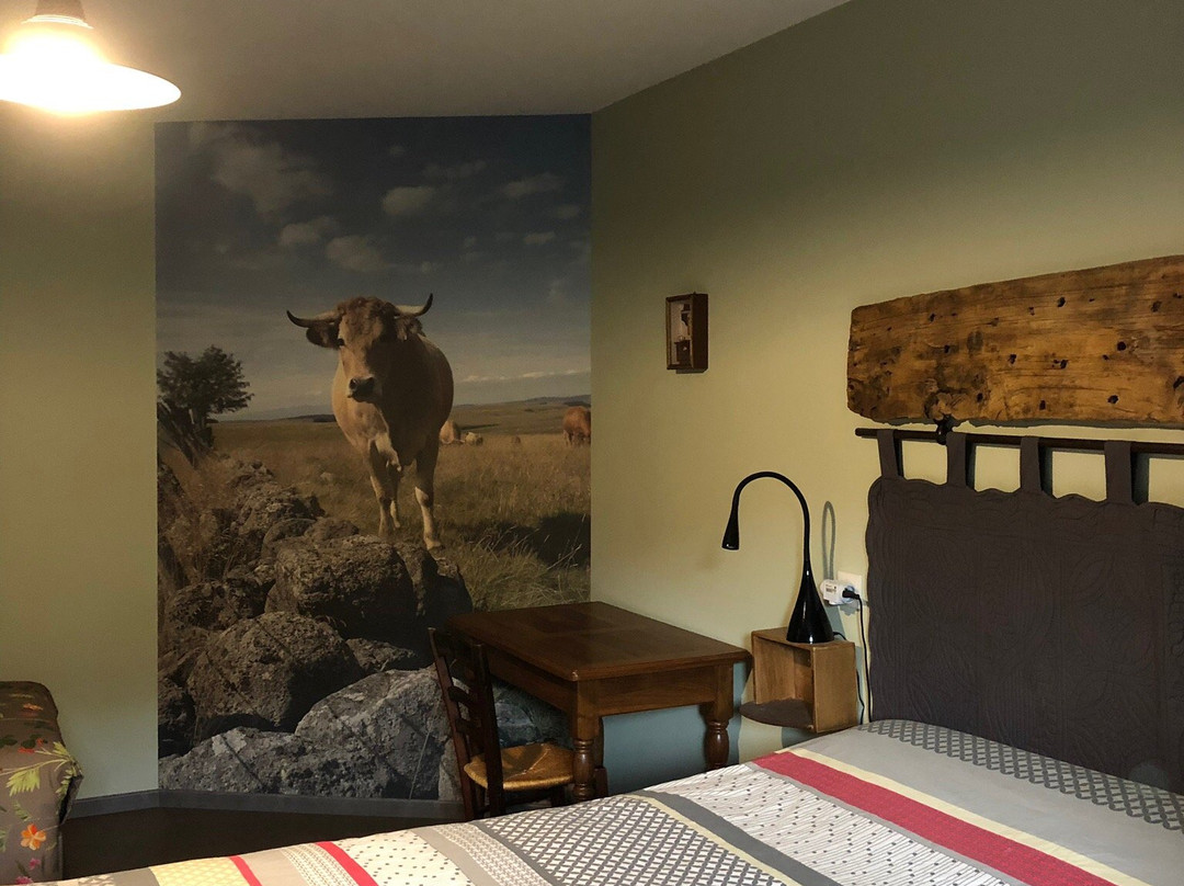 Chambre D'hotes Le Cascadou主图