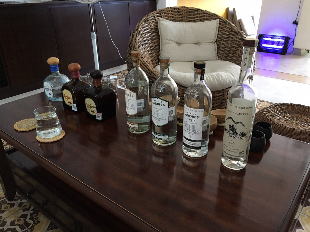 Mexican Flavors Tequila and Mezcal Tasting-梅里达必去景点