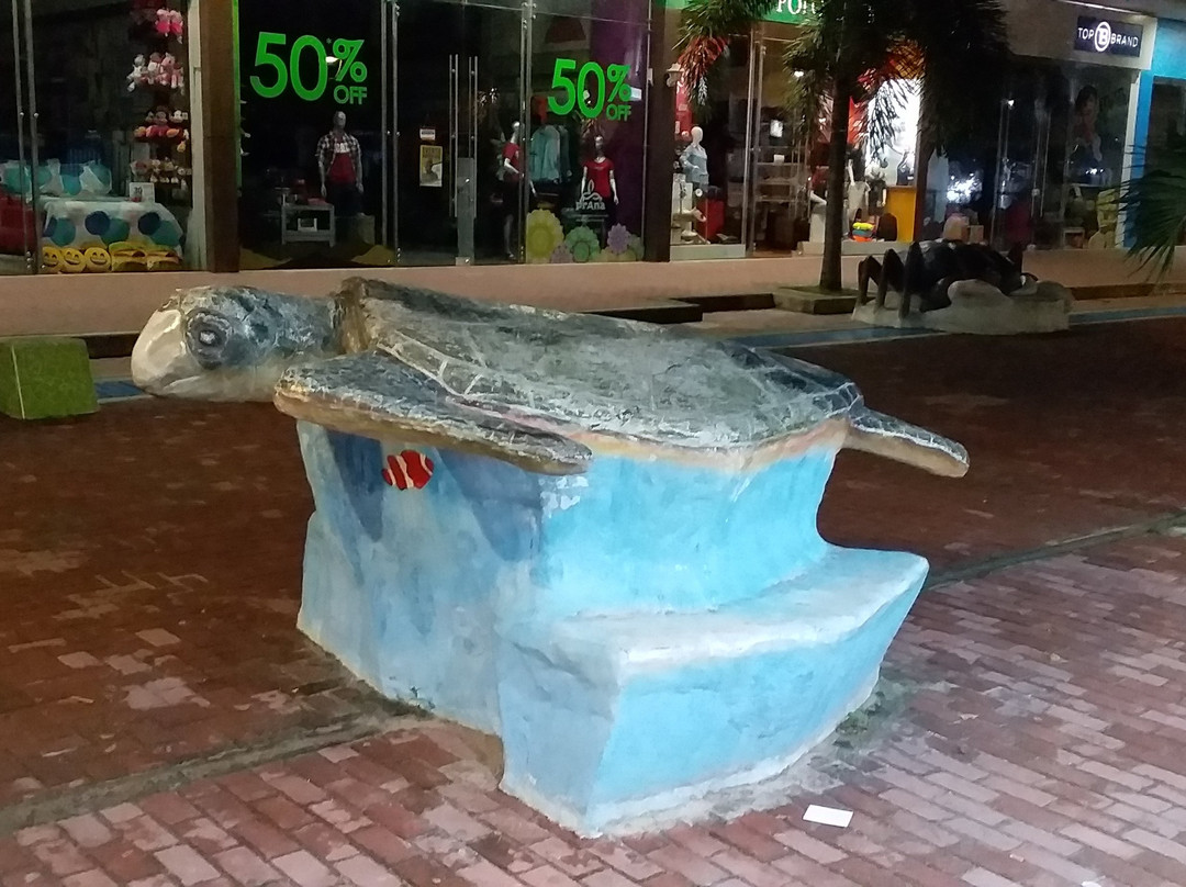 Plaza Cañón de Morgan景点图片
