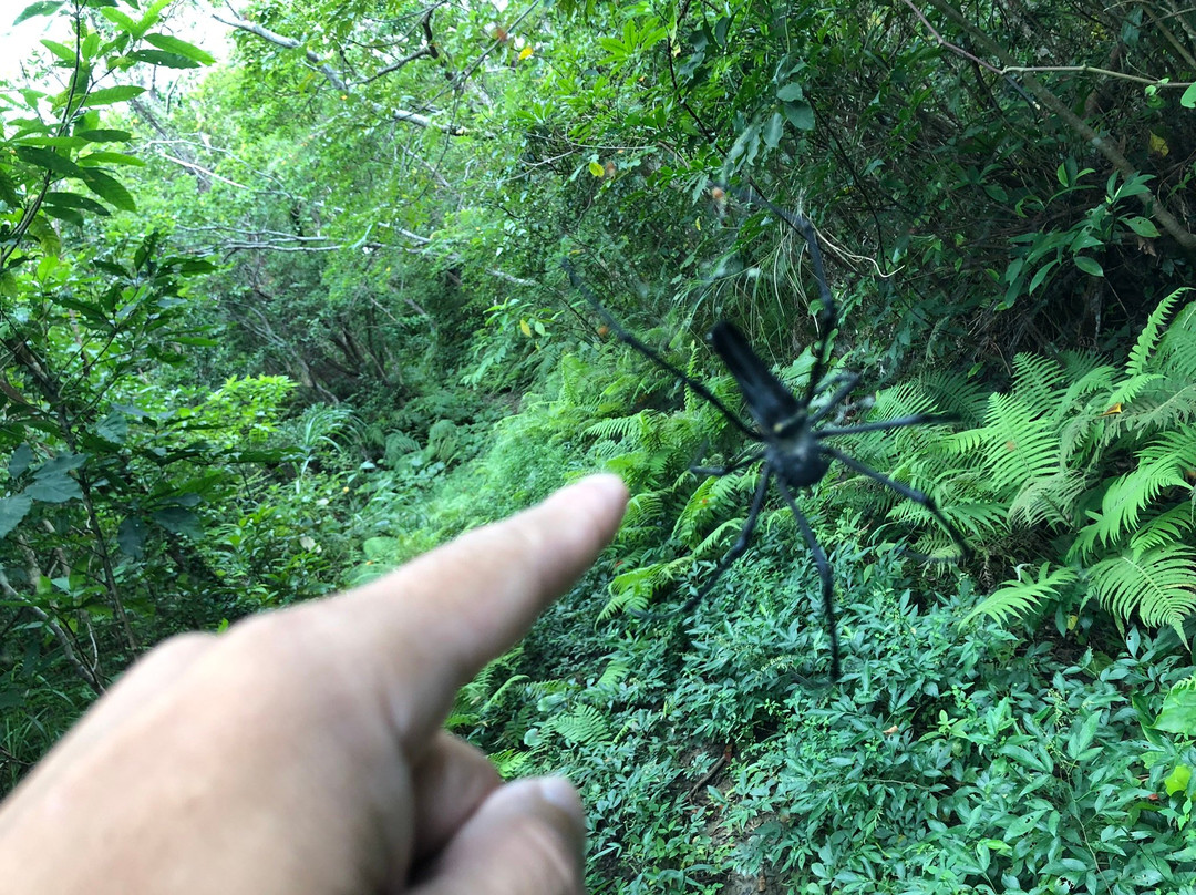 Mt. Inokawa景点图片