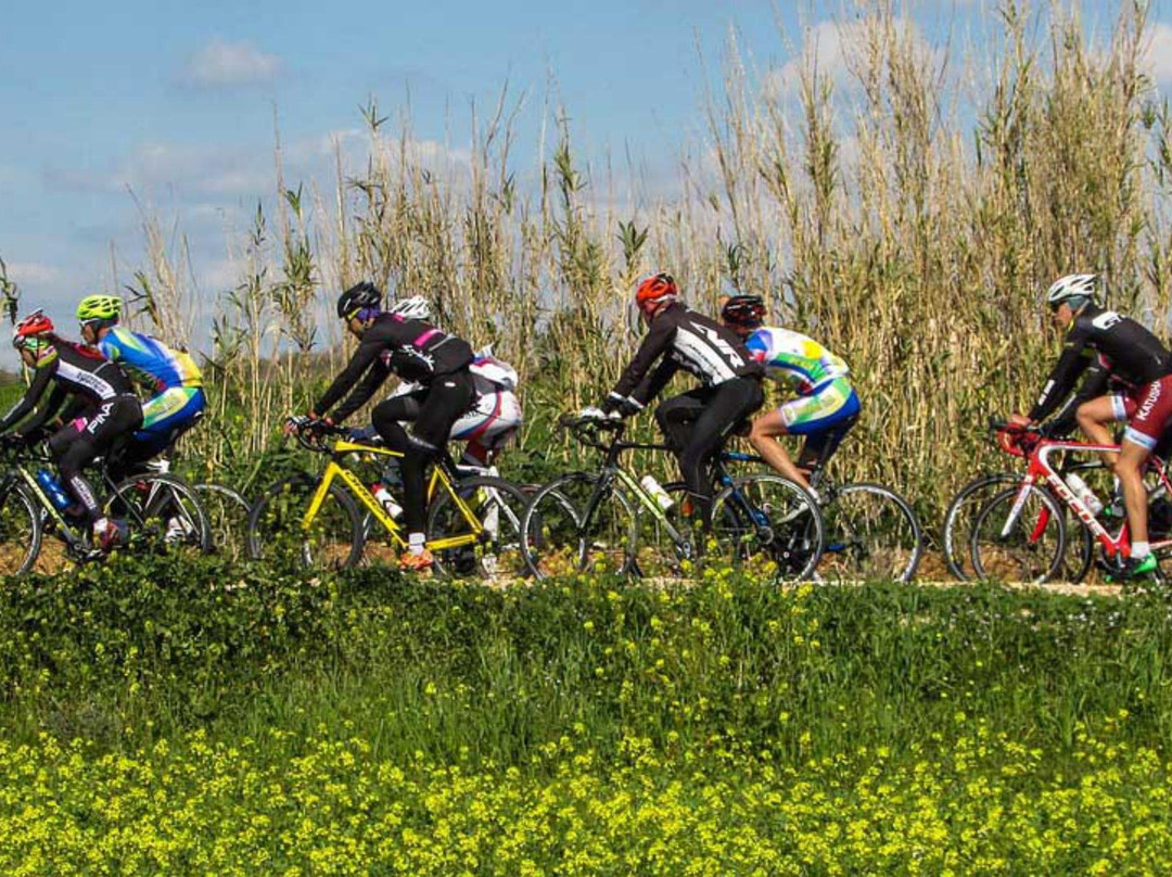 Unco Adventures-莫西必去景点