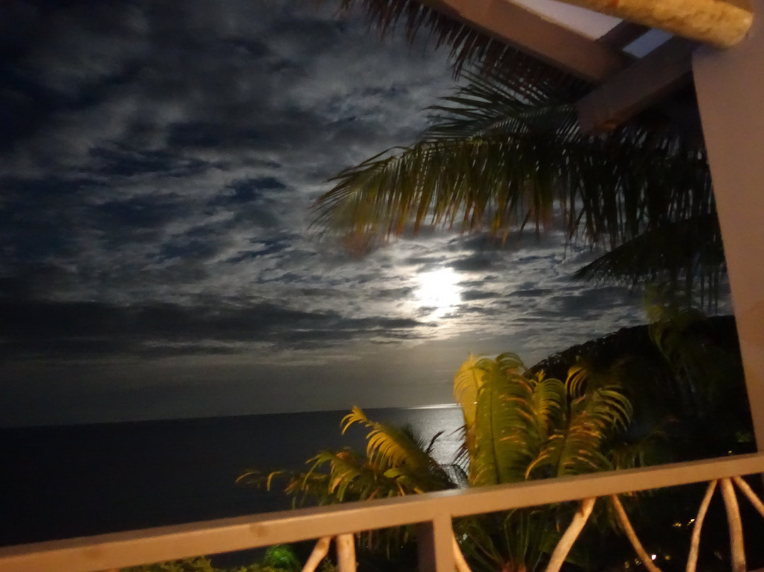 塔底莱岛度假村主图