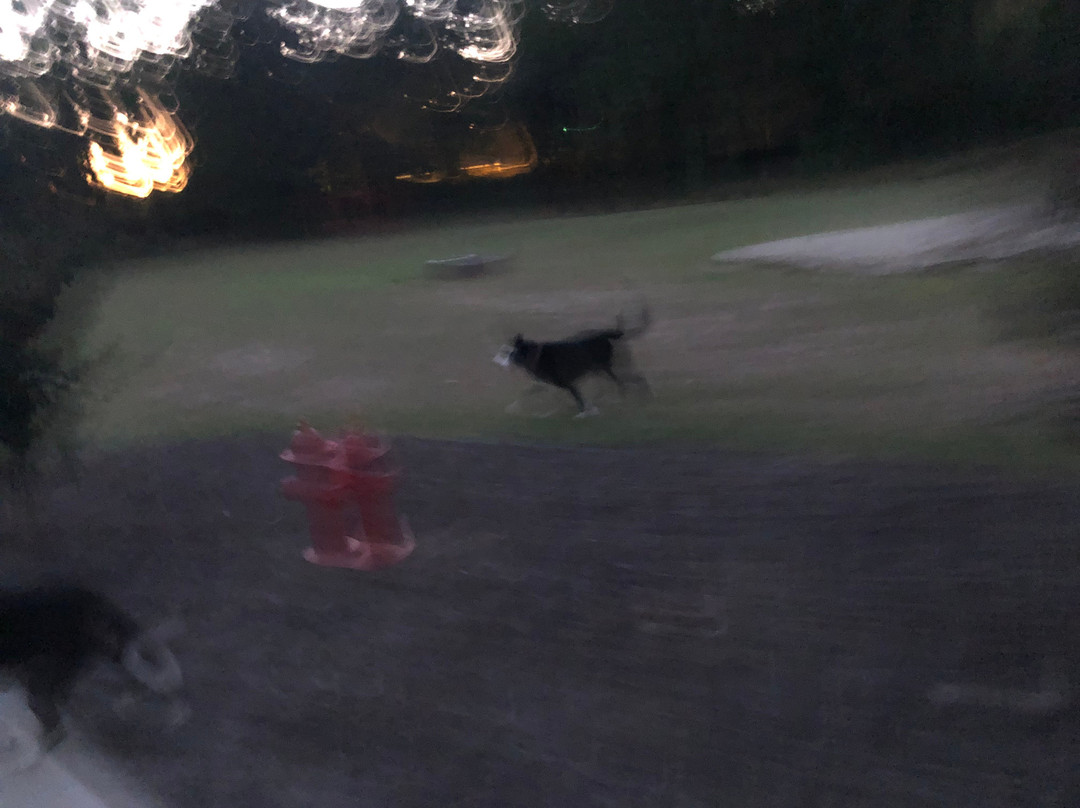 Bryant Commons-Hinesville必去景点