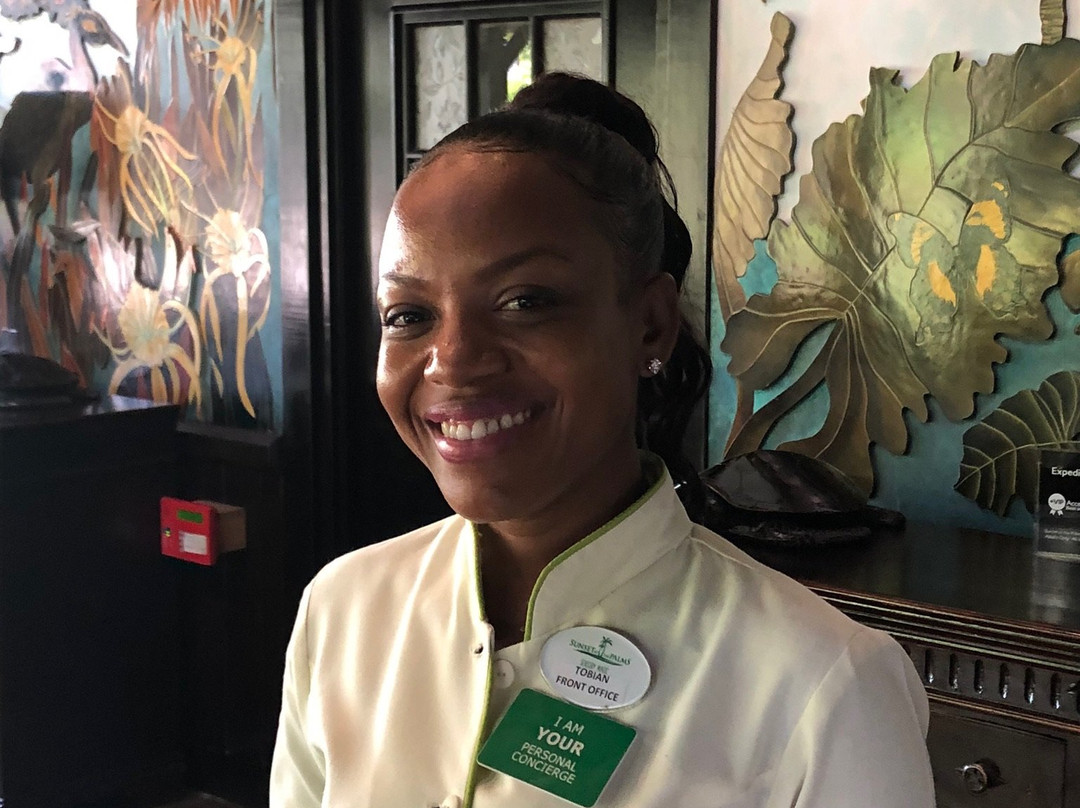 Sunset At The Palms主图