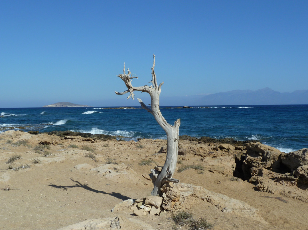 Lavrakas Beach-Gavdos必去景点