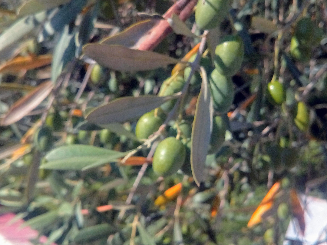 Studios Filippos主图