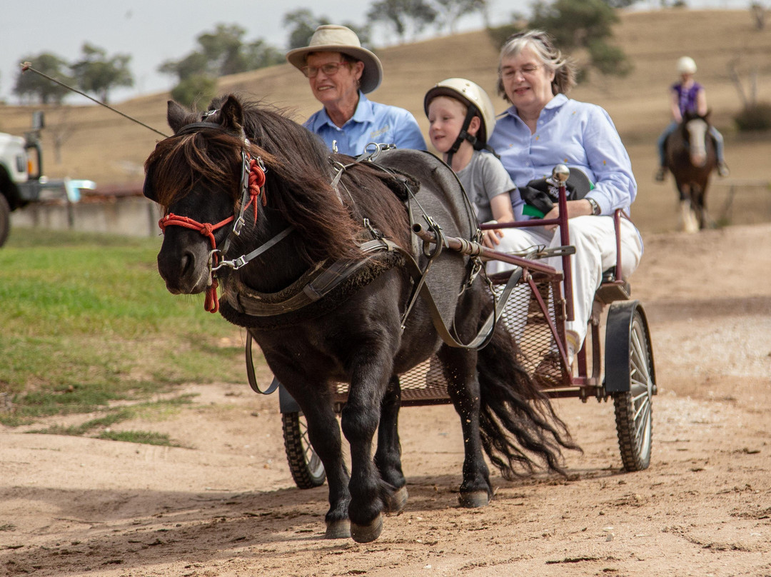 Bathurst Farm Experience and Led Pony Rides景点图片