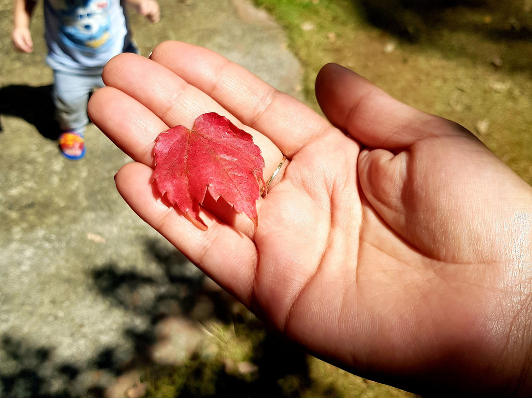 Grand Hotel Naas主图