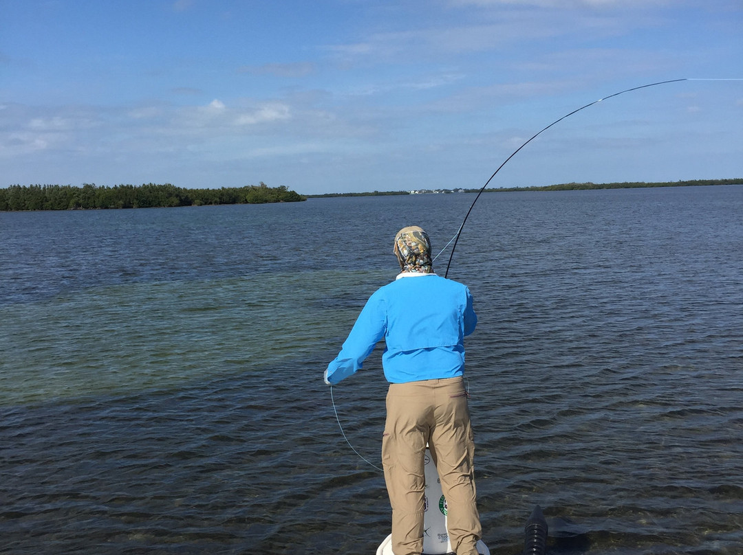 Charlotte Harbor State Park-蓬塔戈尔达必去景点