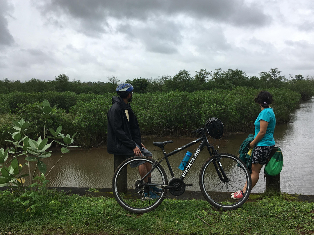 Cycling Zens景点图片