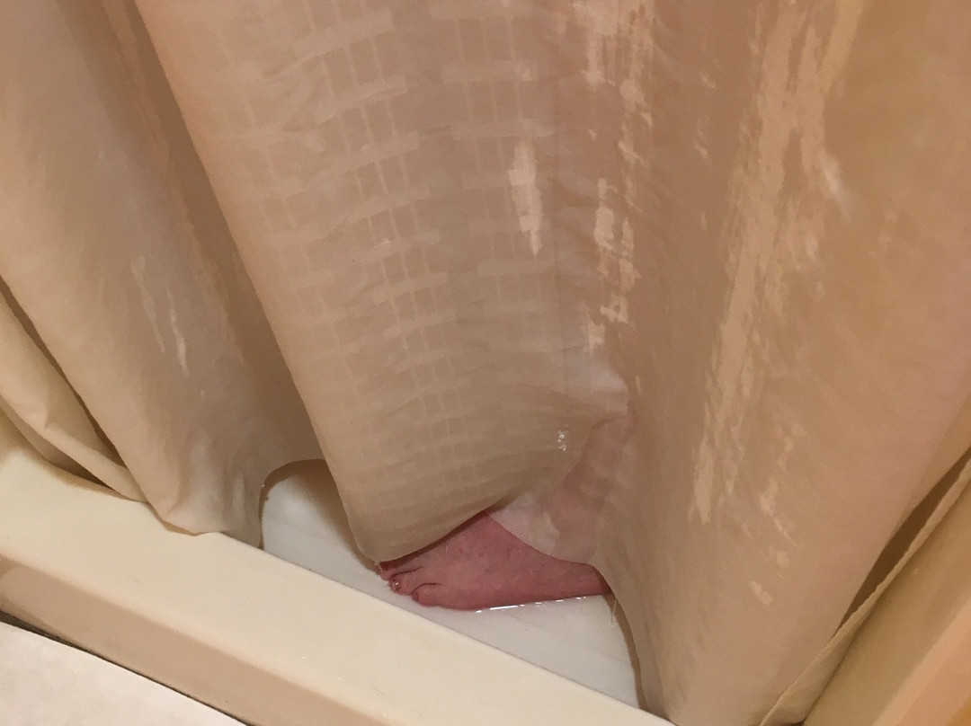 Best Western Rose Garden Inn主图