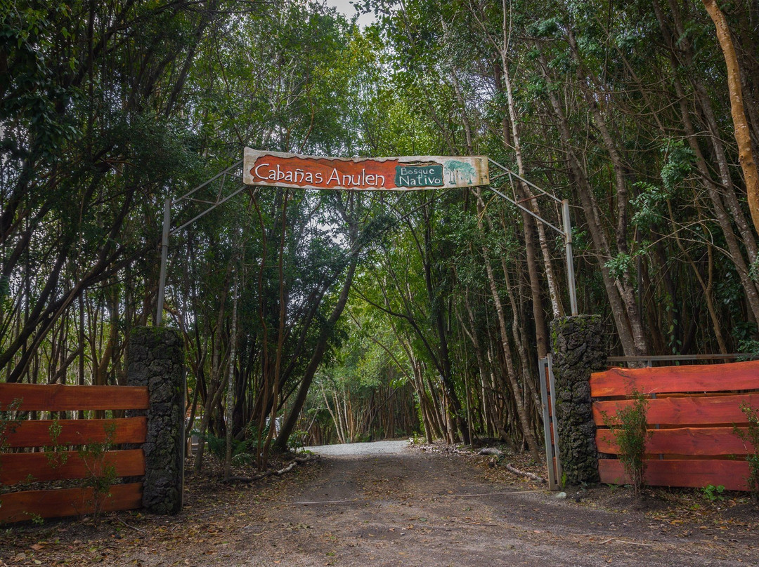 Cabanas Ensenada Bosque Nativo主图